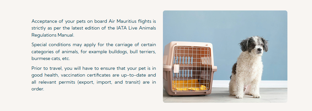Air Mauritius Green Bay-Austin Straubel International Airport Terminal