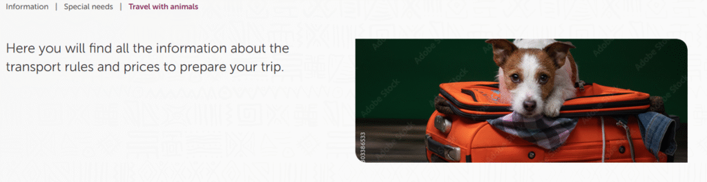 Royal Air Maroc Capital Region International Airport Terminal