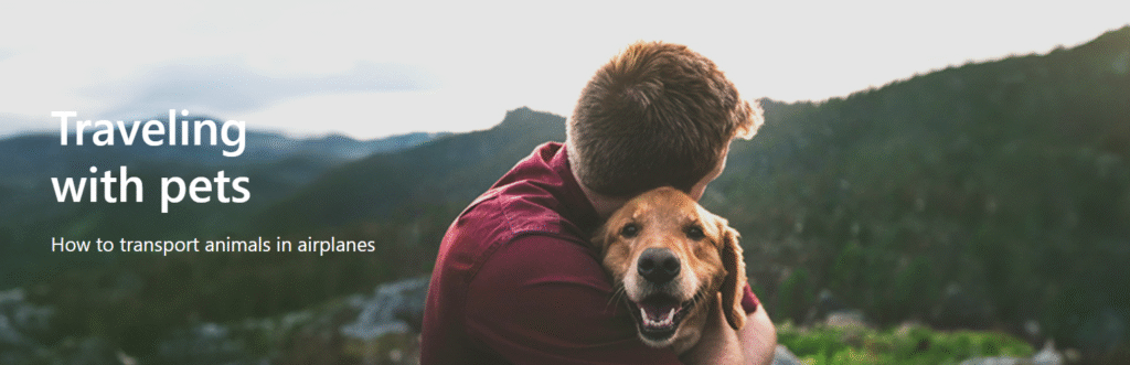 S7 Airlines Tri-Cities Airport Terminal