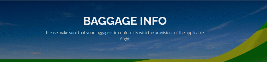 Citilink Airline Seattle-Tacoma International Airport Terminal