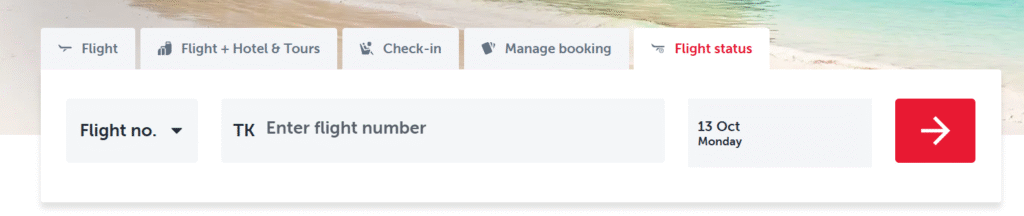 Turkish Airlines Austin-Bergstrom International Airport Terminal