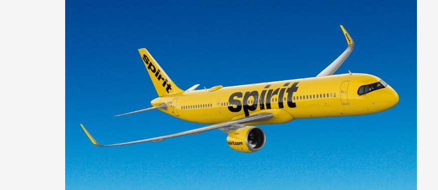Spirit Airlines Simón Bolívar International Airport Terminal