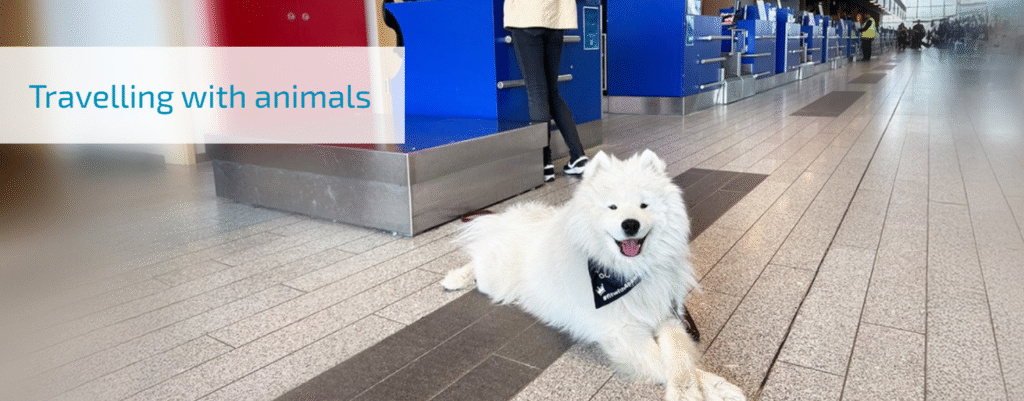Luxair Ronald Reagan Washington National Airport Terminal