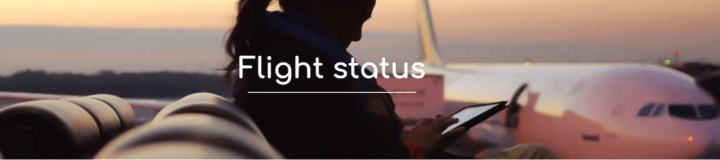 Wingo Airlines Bangor International Airport Terminal