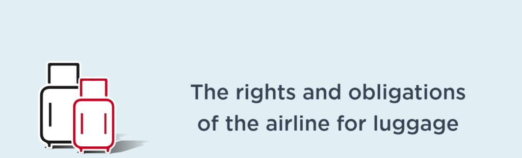Air Albania O.R. Tambo International Airport Terminal